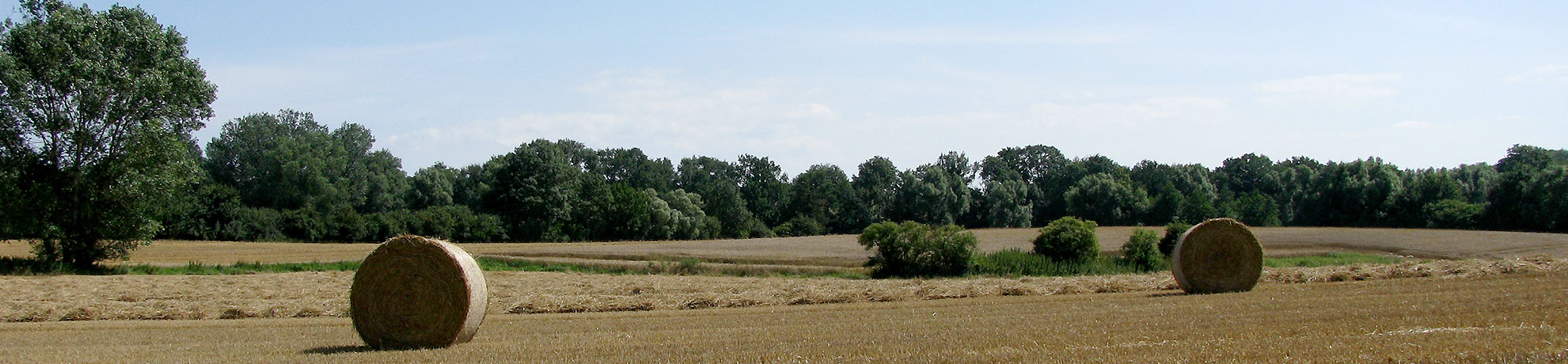 Einkaufsvorteile